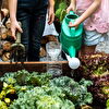Teenagers Gardening
